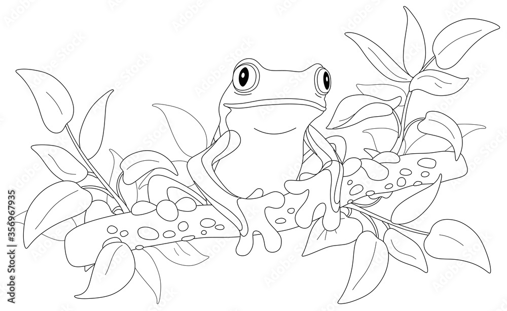 Funny poisonous tree frog sitting on a branch in a wild tropical jungle black and white outline vector cartoon illustration for a coloring book page vector