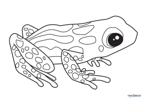 Free printable poison dart frog coloring pages for kids