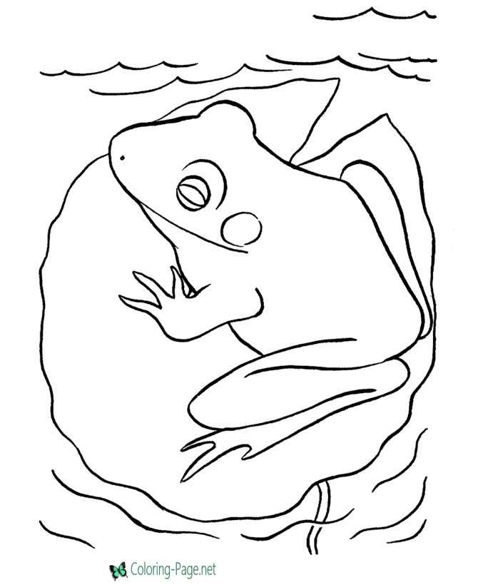 Frog coloring pages