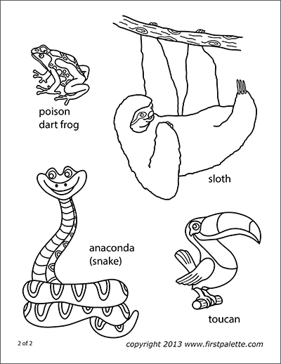 Posion dart frog free printable templates coloring pages