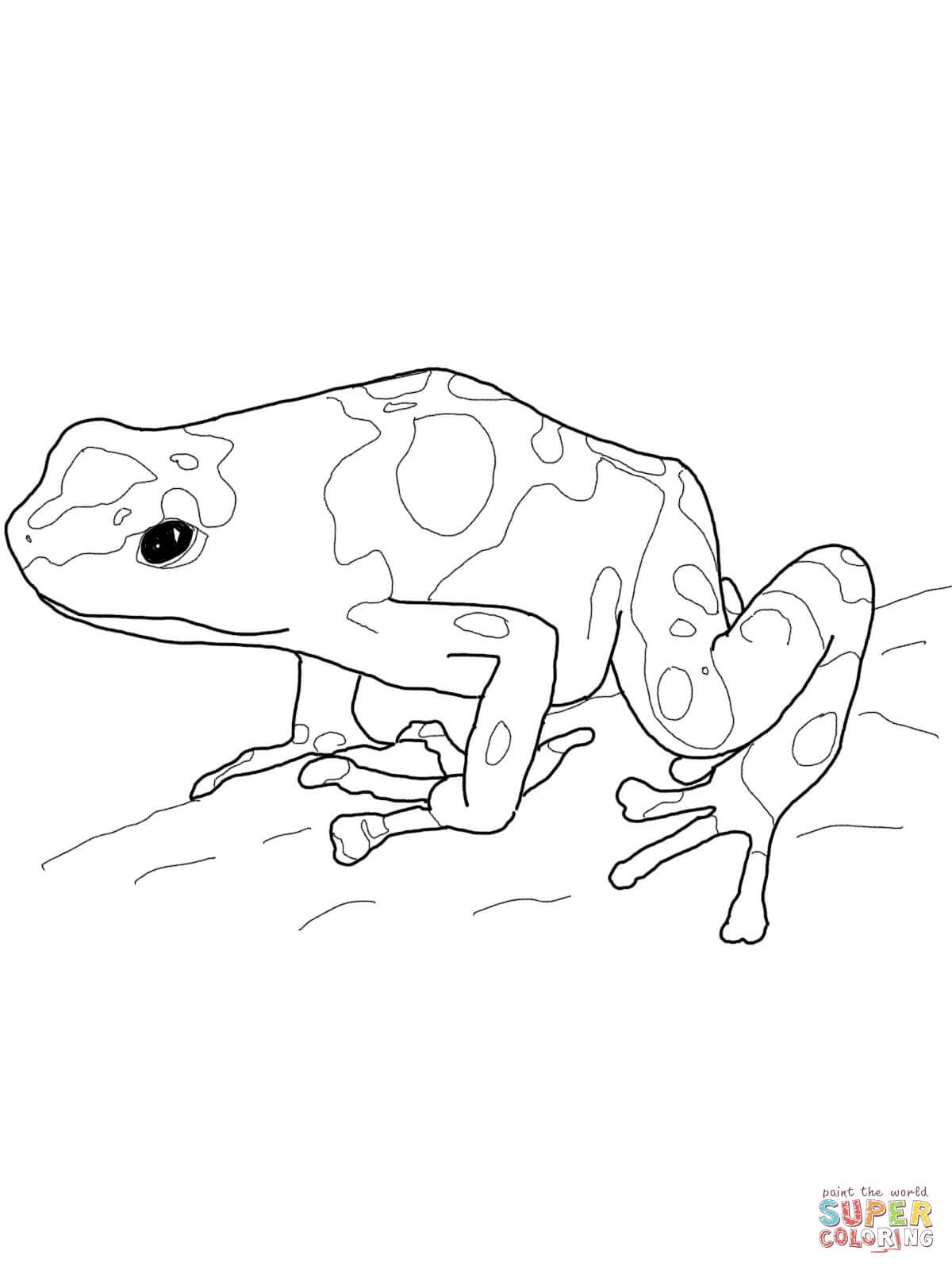 Frog coloring pages owl coloring pages kid coloring page