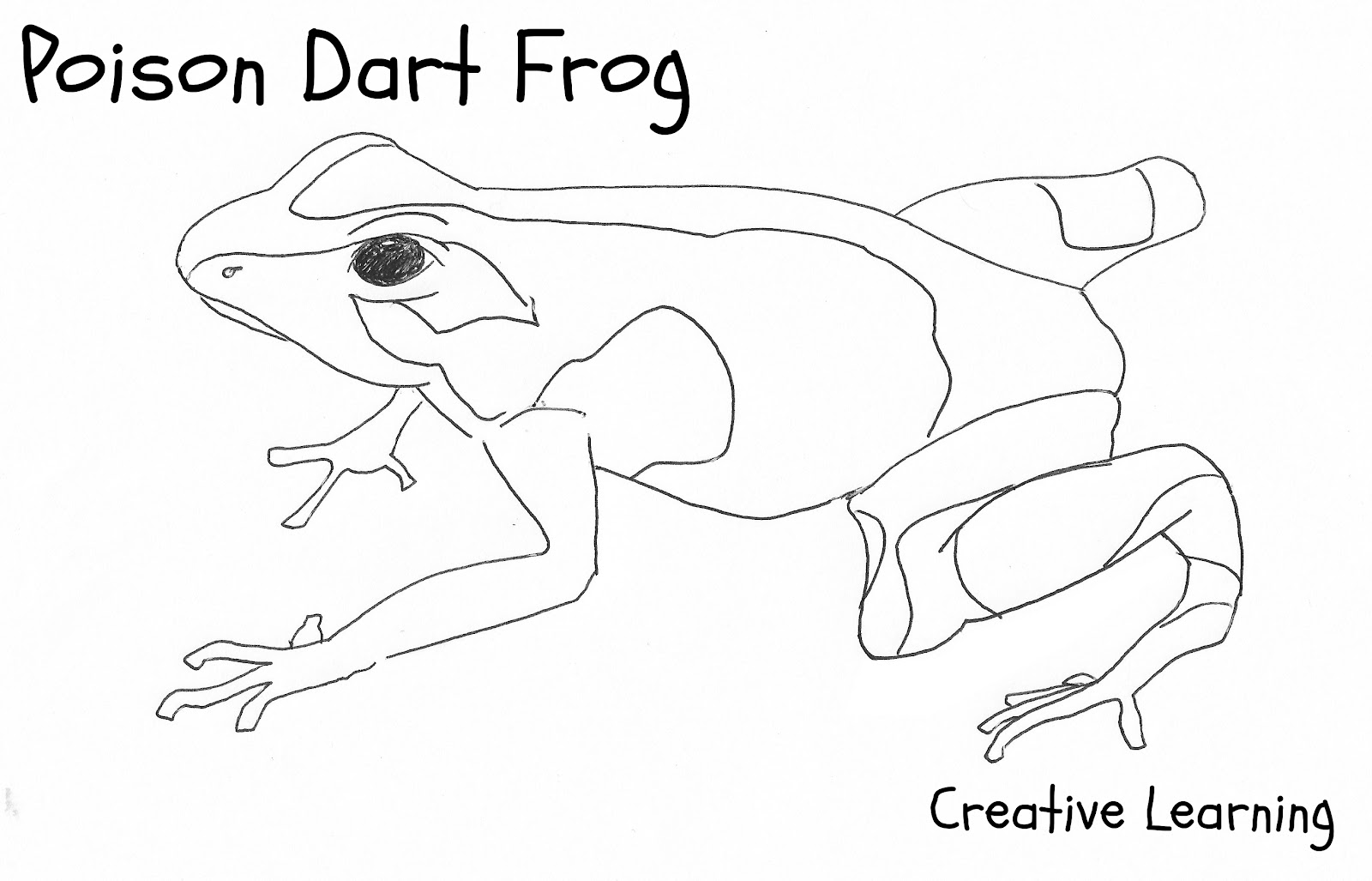 Free printable frog coloring pages for kids