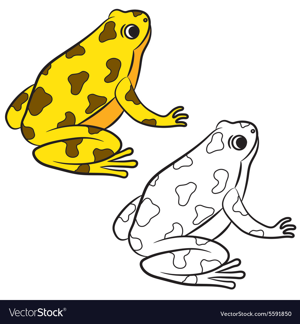 Frog coloring page royalty free vector image