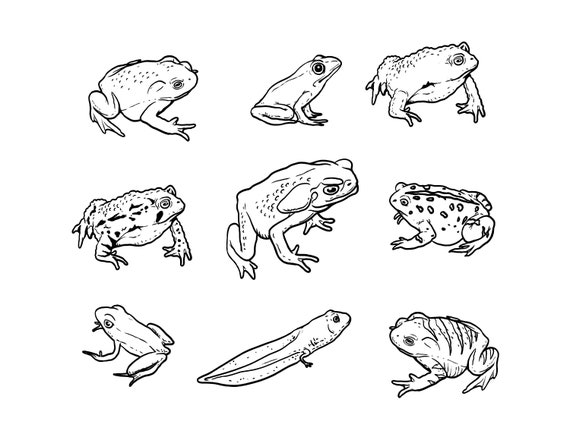 Vintage frogs printable cottagecore frog digital download frog coloring page