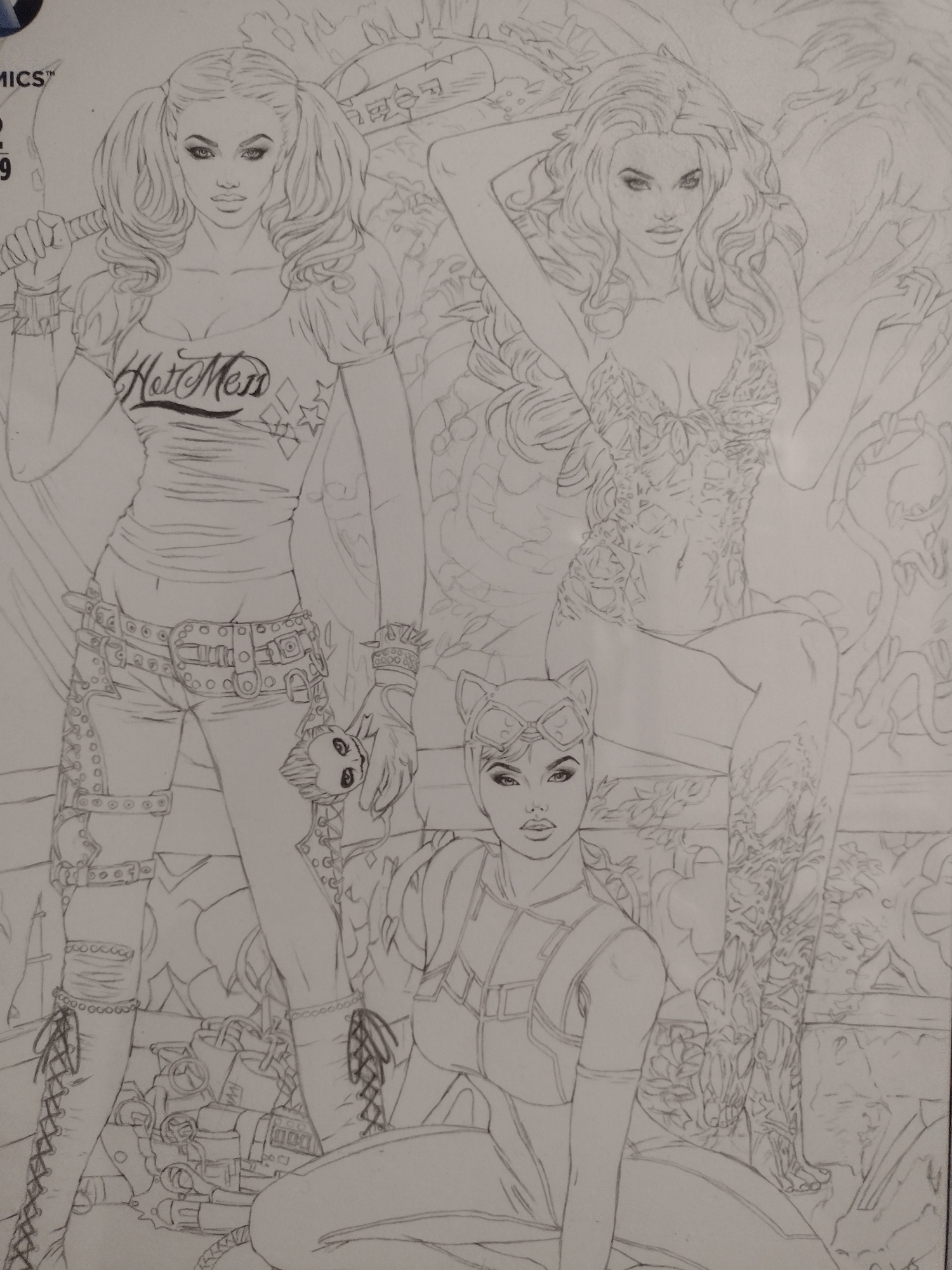 Poison ivy harley quinn and catwoman sketch by natali sanders in stanley js favorites art ic art gallery room