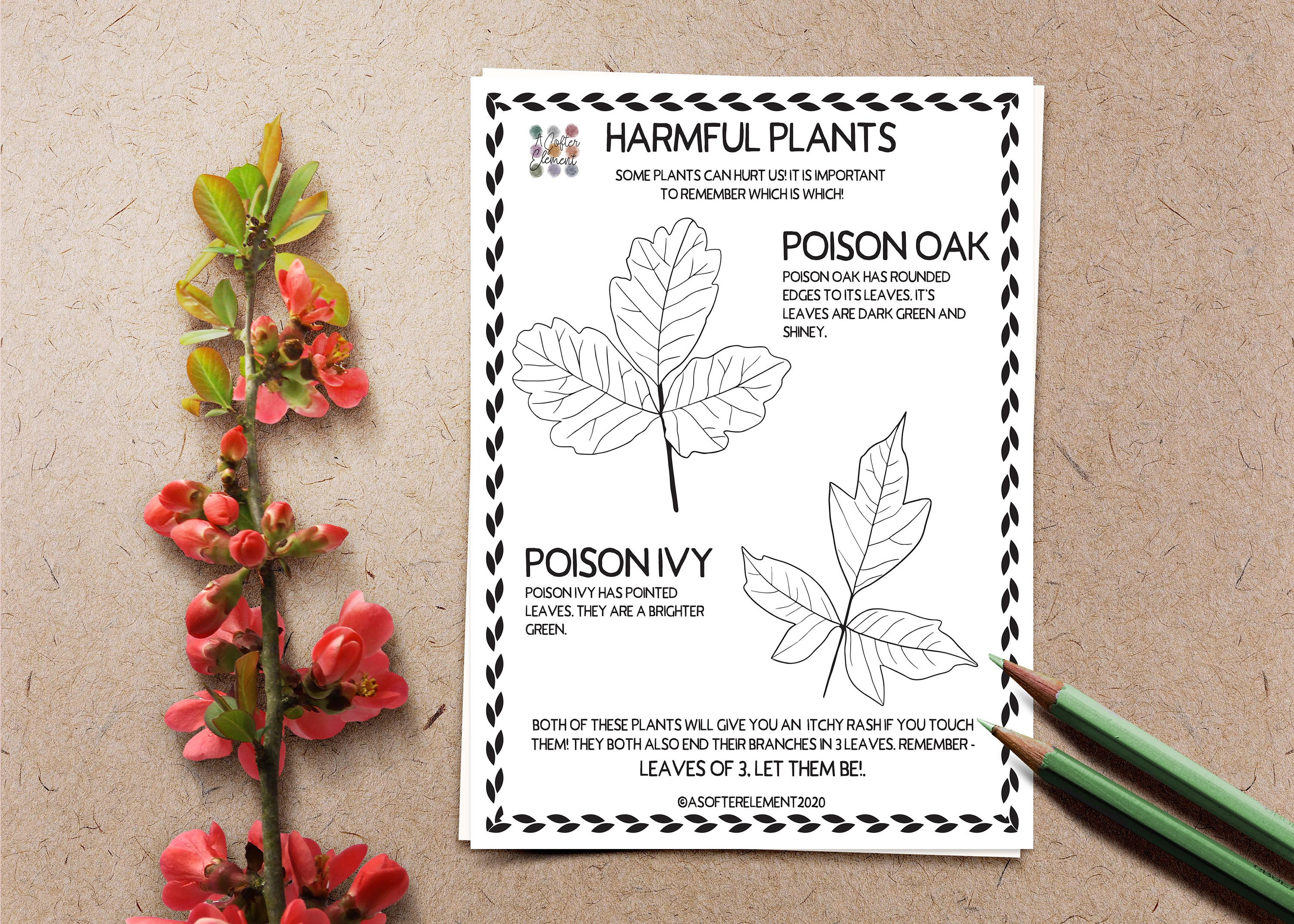 Nature coloring pages harmful plants poison oak poison ivy plant coloring worksheet instant download