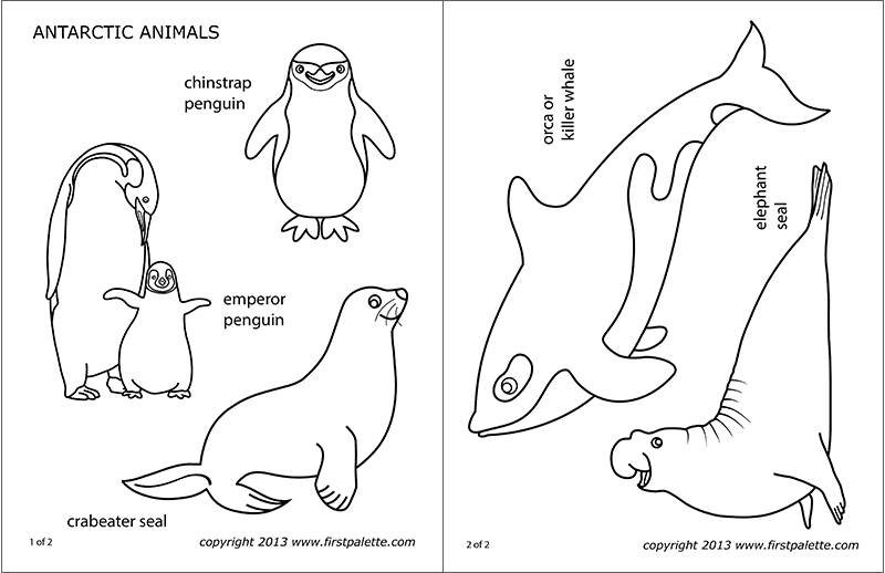 Antarctic polar animals free printable templates coloring pages