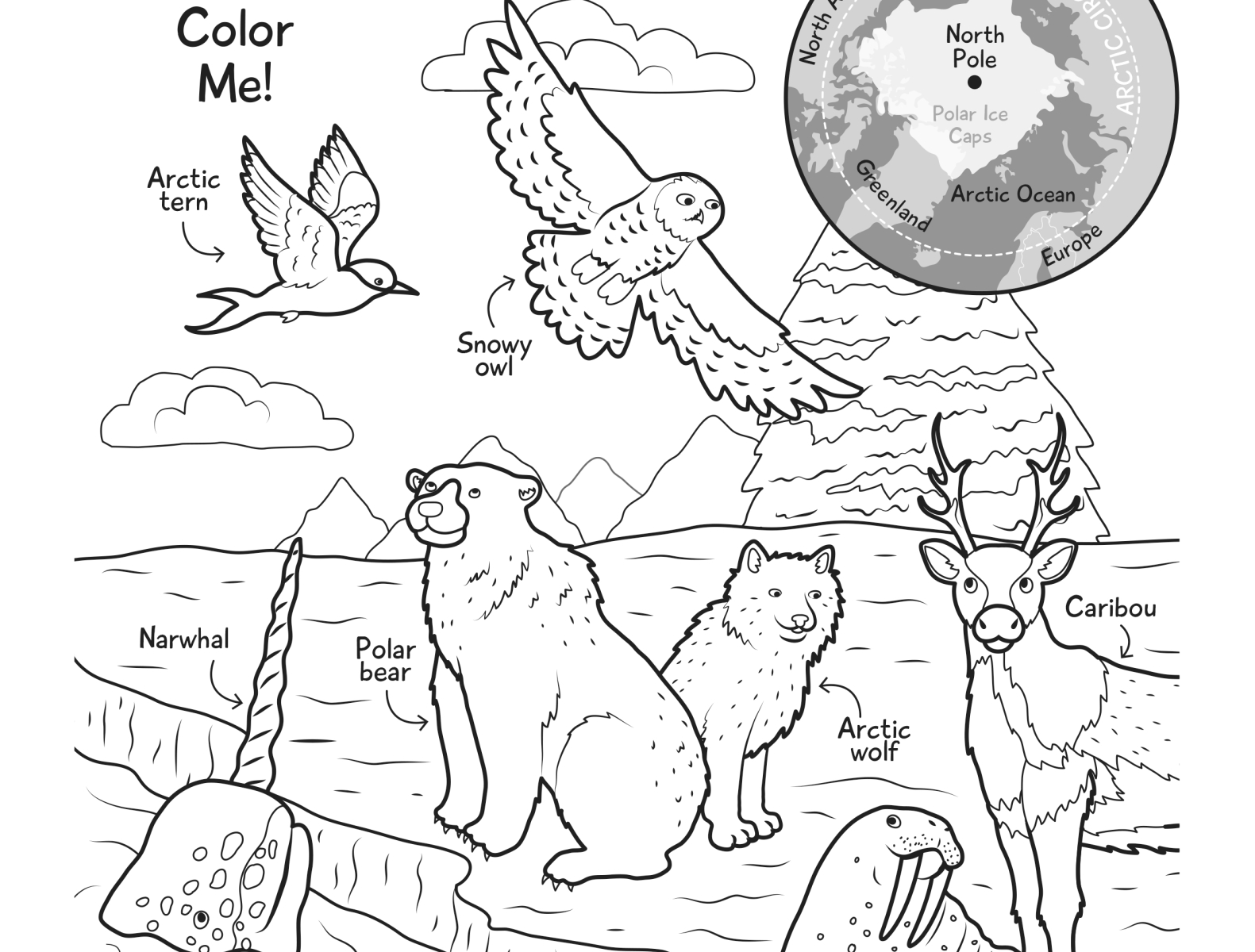 Arctic animals coloring page by sara lynn cramb on