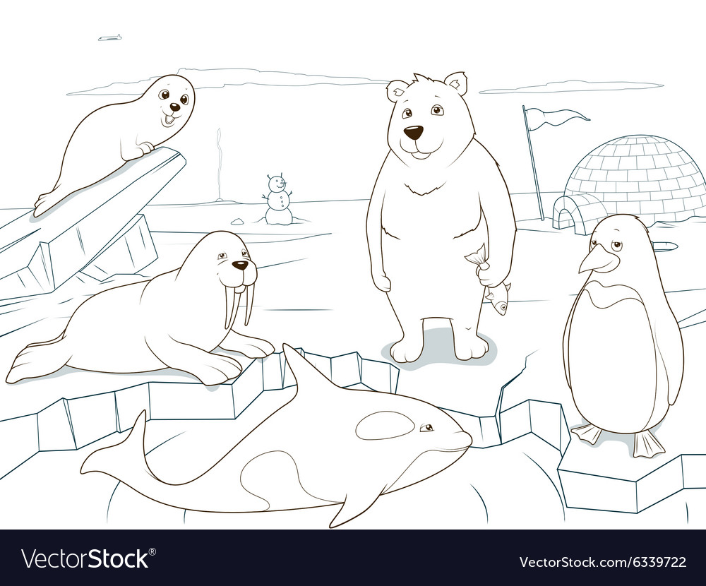 Arctic animals coloring book educational game vector image