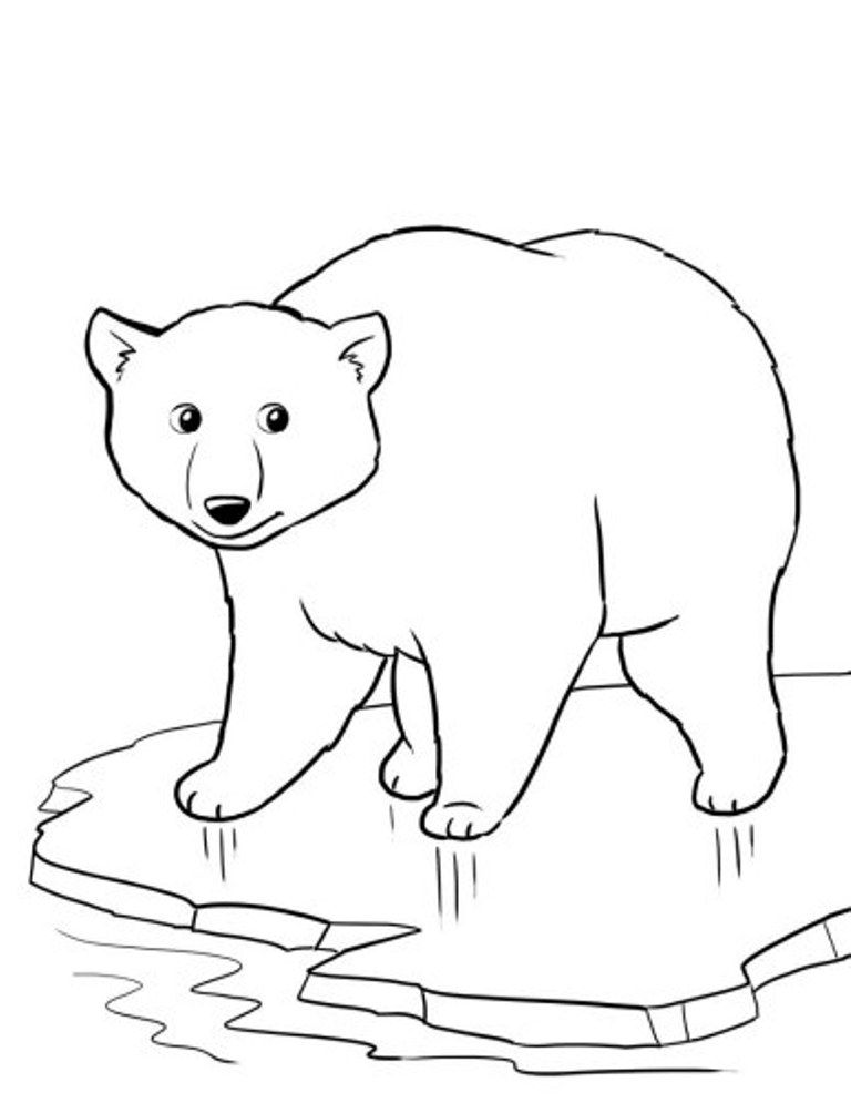 Arctic animals coloring pages