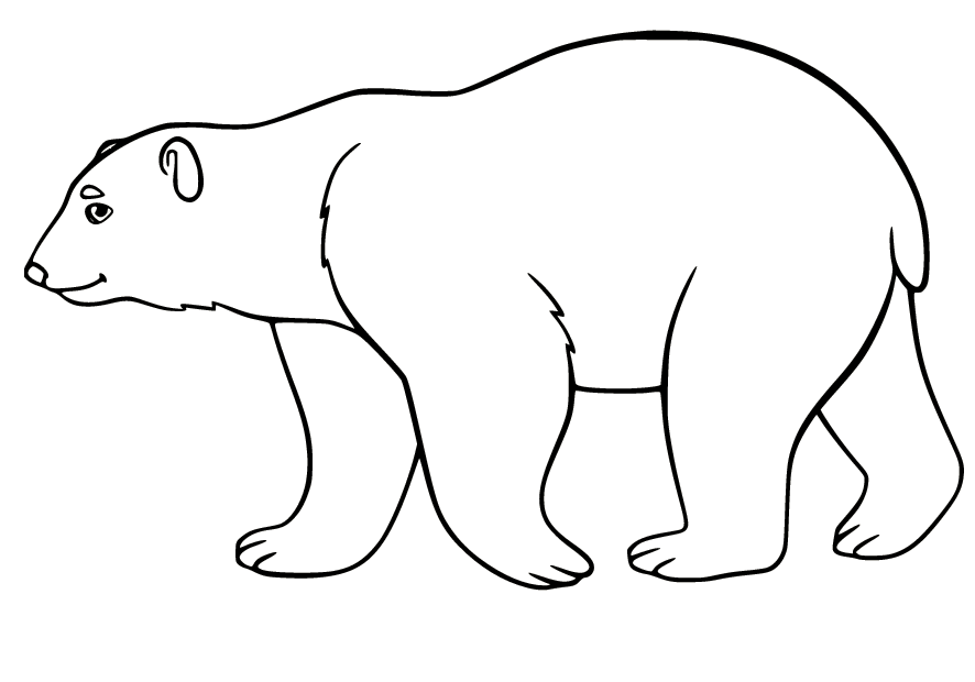 Polar bear coloring pages printable for free download