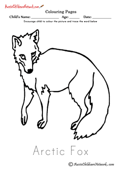 Polar animals colouring pages