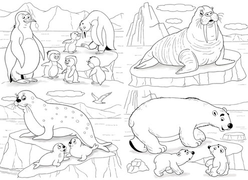 Set of cute arctic animals coloring page penguins walrus white bears seals illustration