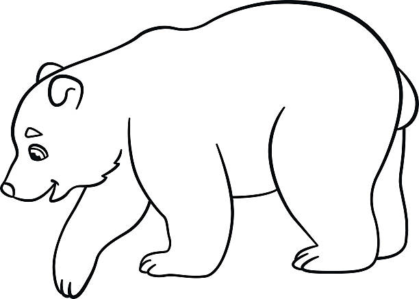 Coloring pages little cute baby polar bear stock illustration