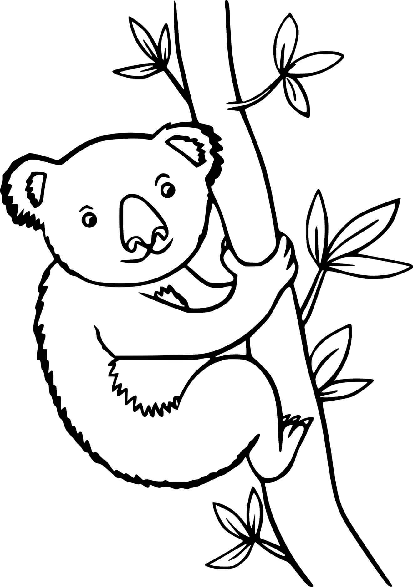 Koala climbing the tree coloring page