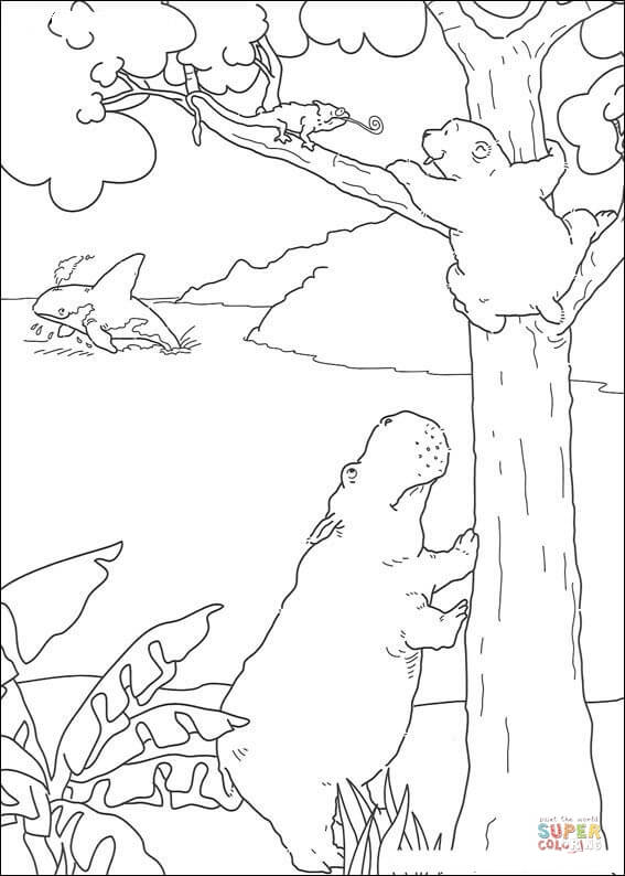 Little polar bear lars and hippo climb the tree coloring page free printable coloring pages