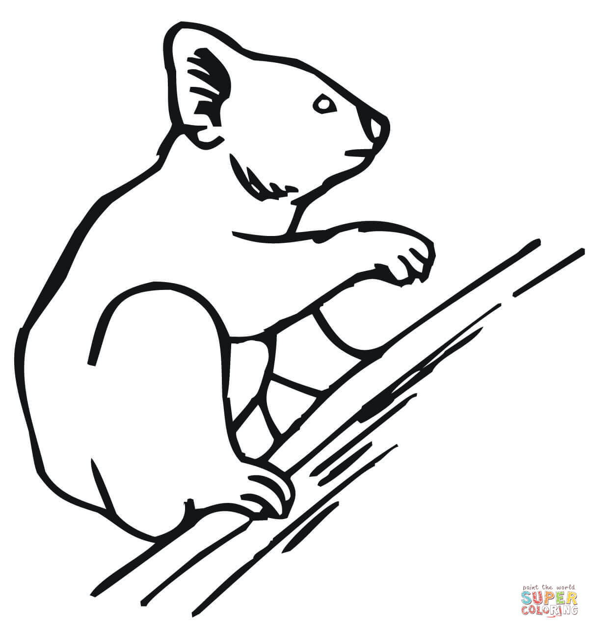 Koala climbing a tree coloring page free printable coloring pages