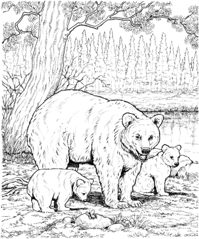 American black bear family coloring page free printable coloring pages