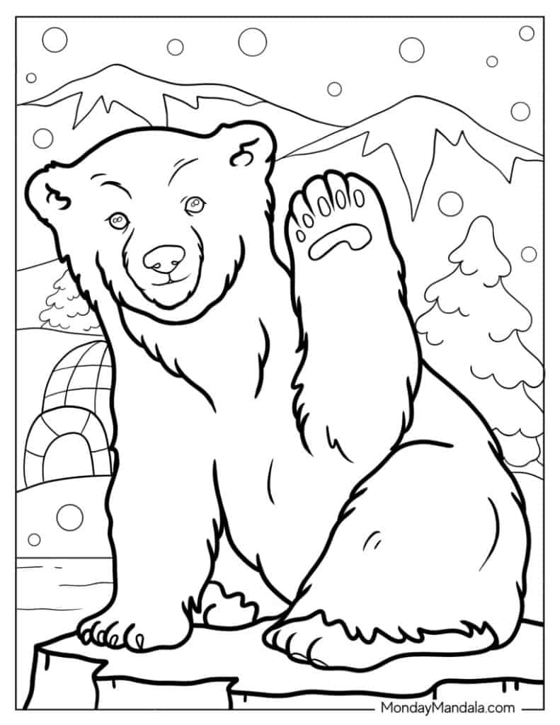 Polar bear coloring pages free pdf printables