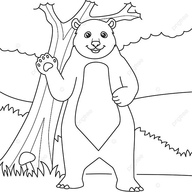 Bear coloring page for kids baby drawing line vector bear drawing baby drawing wing drawing png and vector with transparent background for free download