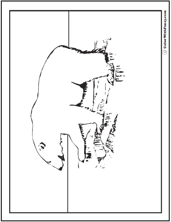 Polar bear coloring pages â arctic giants cute babies