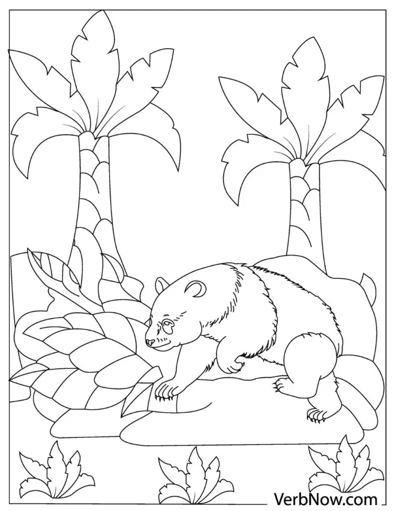 Free bear coloring pages for download printable pdf