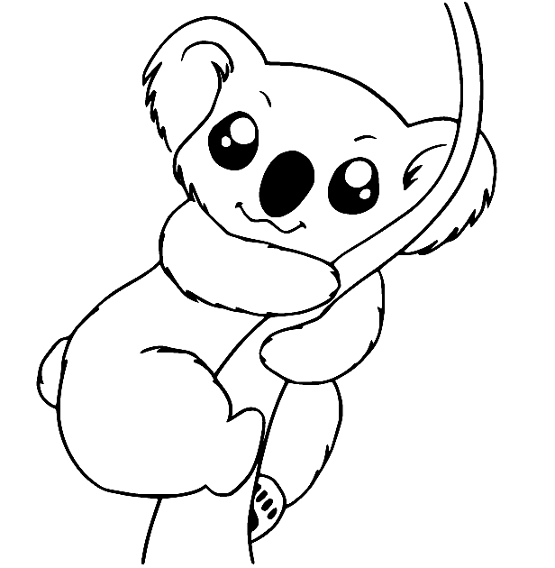 Koala coloring pages printable for free download