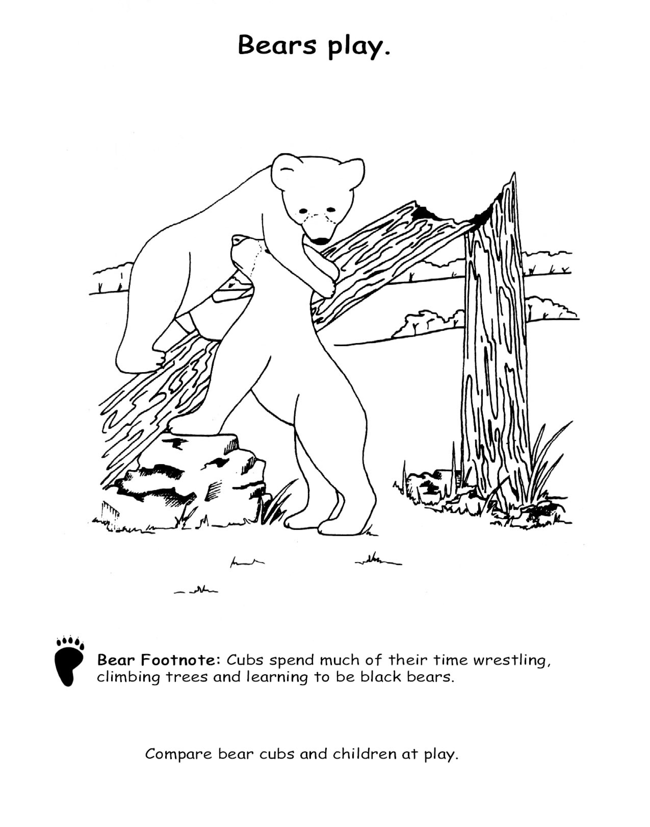 Animal coloring pages imagine our florida inc