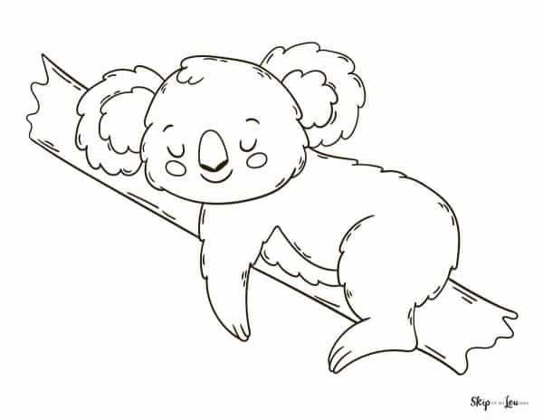 Koala coloring pages skip to my lou