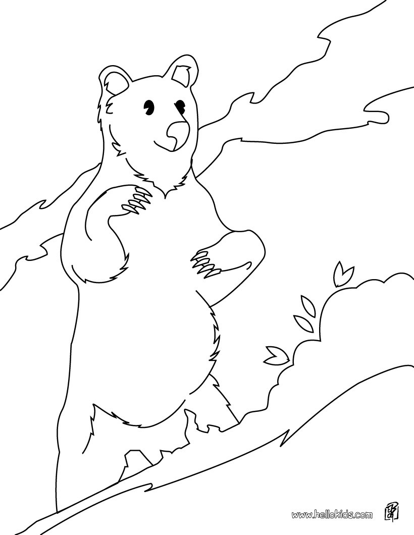 Sun bear coloring pages