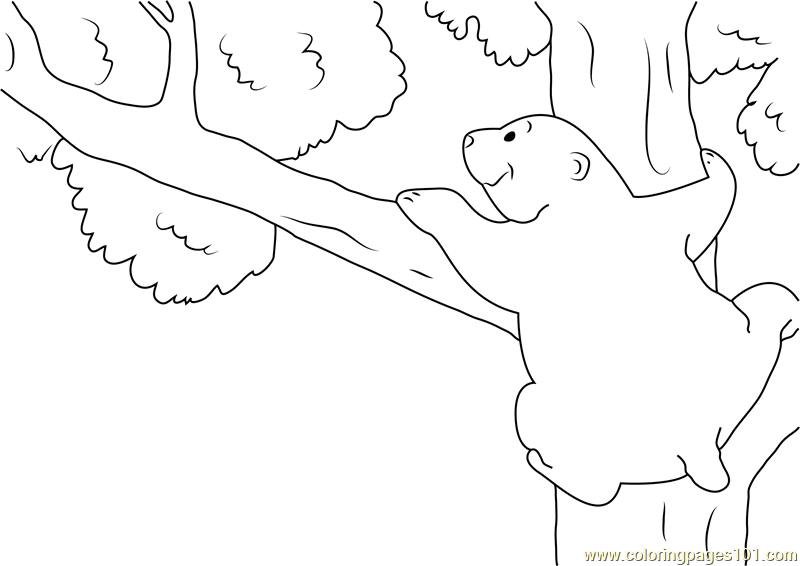 Bear on tree coloring page for kids