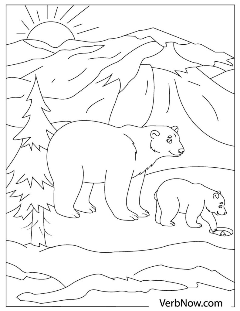 Free bear coloring pages for download printable pdf