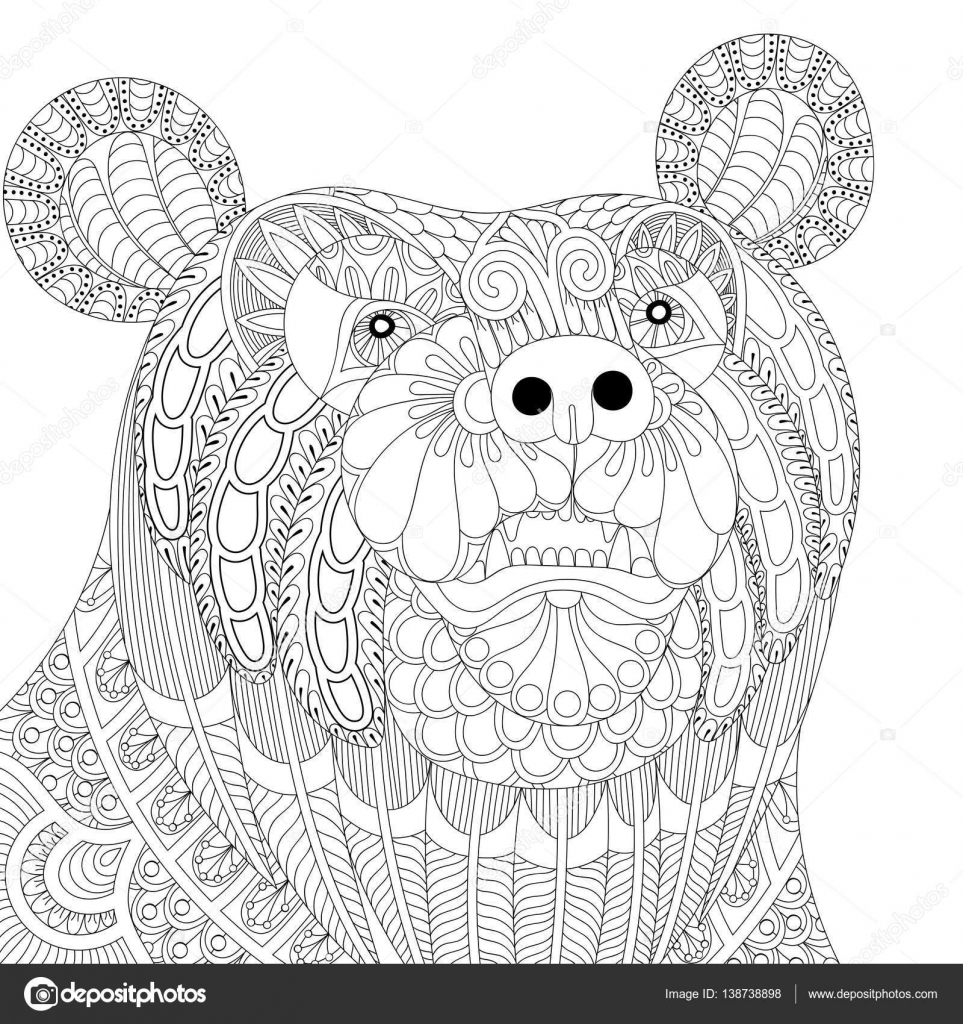 Vector zentangle bear head for adult anti stress coloring pages stock vector by ipanki