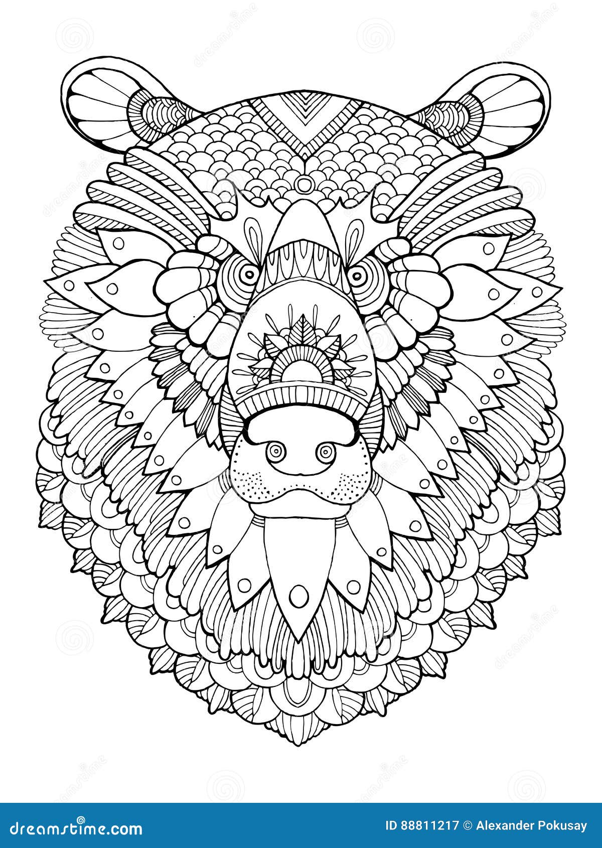 Bear head coloring book vector illustration stock vector