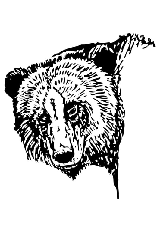 Coloring page bear