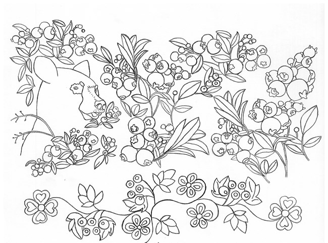 Coloring pages