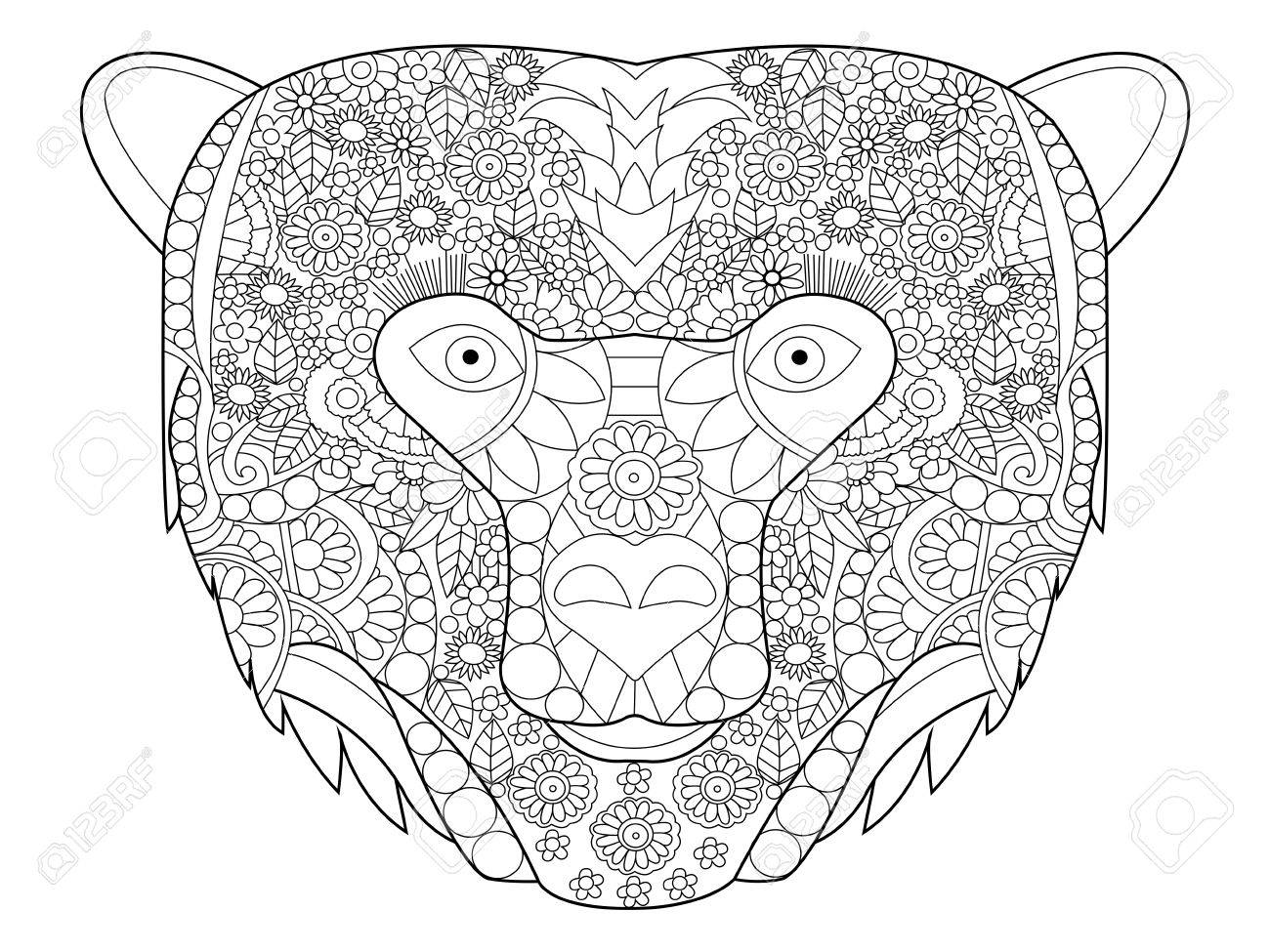 Bear head coloring book for adults vector illustration anti