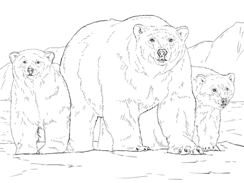 Polar bear with two cubs coloring page free printable coloring pages