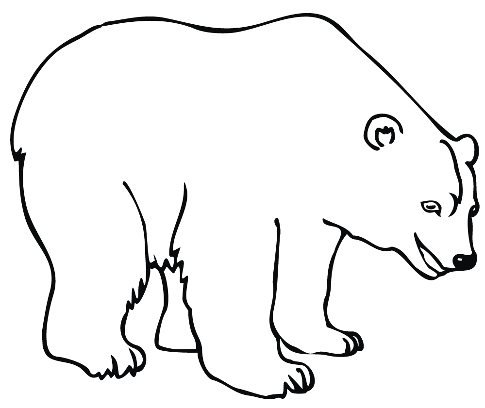 Polar bear coloring pages printable for free download
