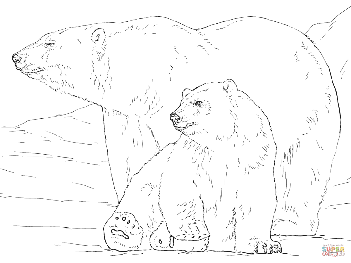 Polar bear with baby coloring page free printable coloring pages