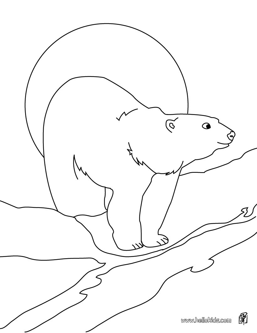 Polar bear printable coloring pages