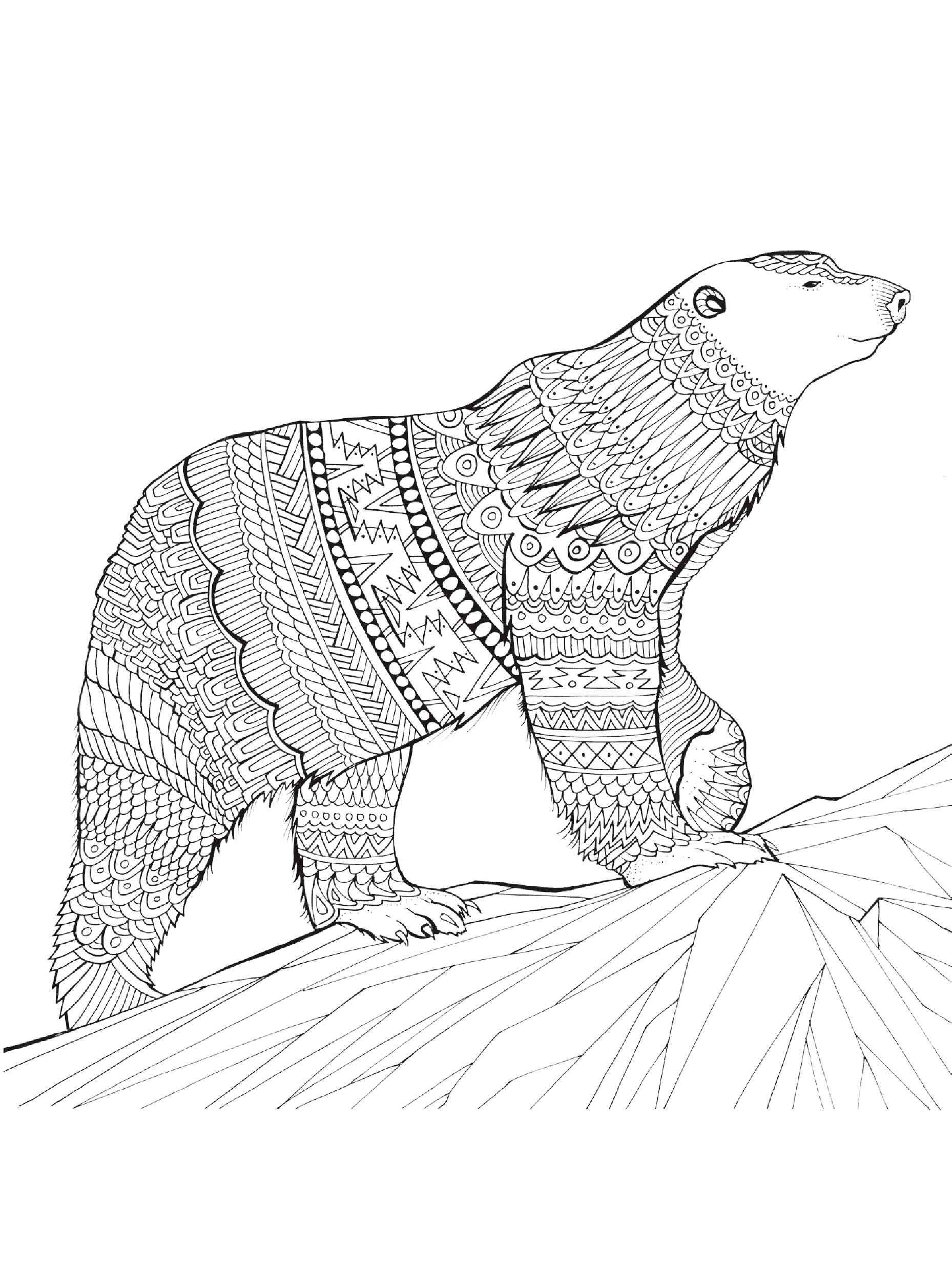 Free printable polar bear coloring pages for adults