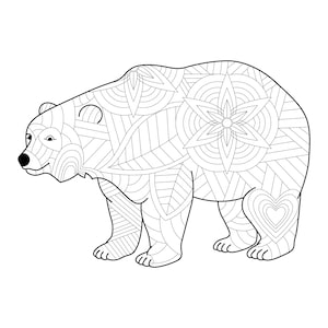 Polar bears coloring