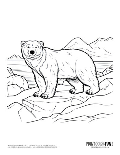 Explore the wild with bear clipart coloring plus engaging activities for kids at