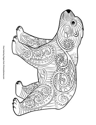 Baby polar bear coloring page â free printable pdf from