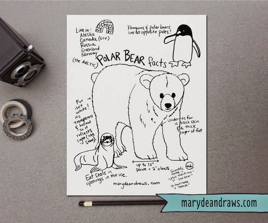 Polar bear facts printable coloring page and craft