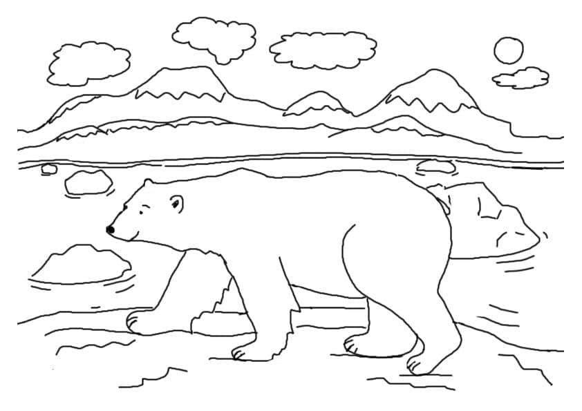 Free polar bear coloring page