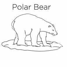 Top free printable polar bear coloring pages online