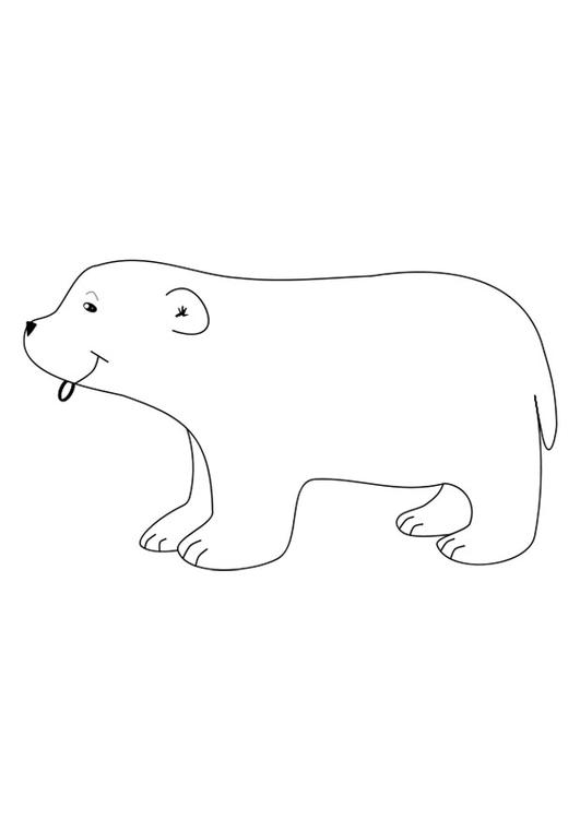 Coloring page polar bear