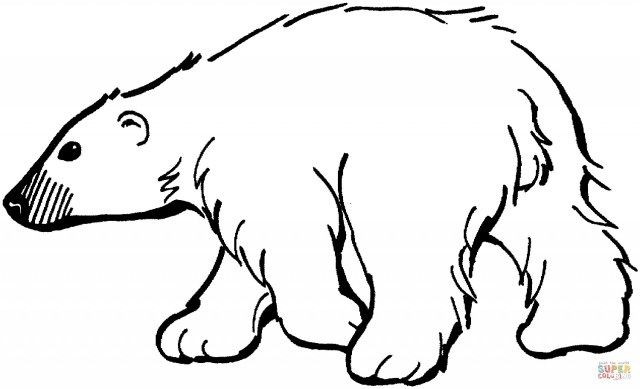 Best image of polar bear coloring pages